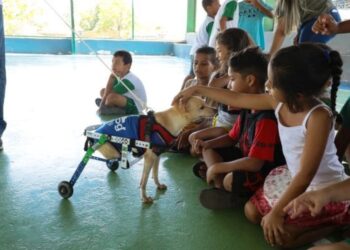 Prefeitura de Cuiabá lança projeto em favor da causa animal com foco no público infantil