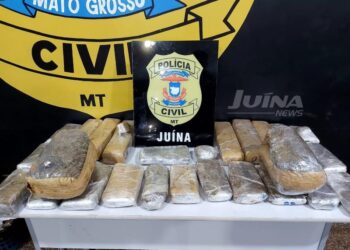 Casal é preso com mala recheada de drogas na BR 174, próximo a Juína