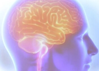 Organização Mundial do AVC alerta que 90% dos derrames são preveníveis