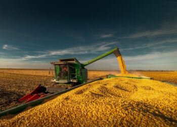 Sozinho, MT teve 54% das vendas externas de milho e 11% de soja