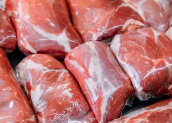 Levantamento aponta que carne exportada de Mato Grosso alimenta 20 milhões de pessoas ao ano