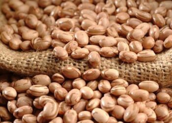 Ibrafe: Feijão-carioca está 17% mais barato do que há 1 ano