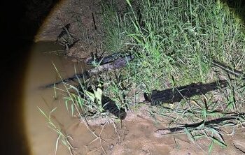 Armas furtadas do Exrcito estavam escondidas em lamaal