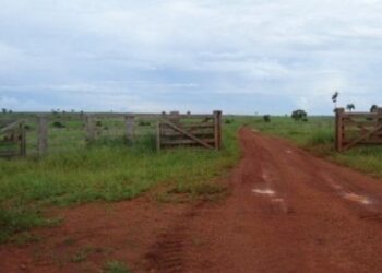 Funcionrios de fazenda brigam e gerente acaba esfaqueado