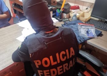 PF desmonta organização criminosa de desmatamento em Anapu, no PA