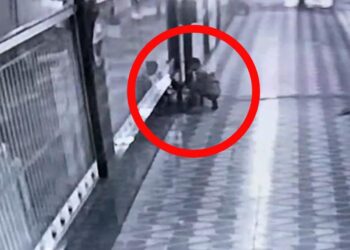 Vídeo: Elemento serra corrente e furta bomba de loja em Itaituba, no PA