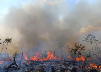 Vários focos de incêndios é registrado em Rurópolis