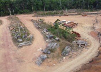 PF apreende madeira que pode ter sido extraída de terra indígena