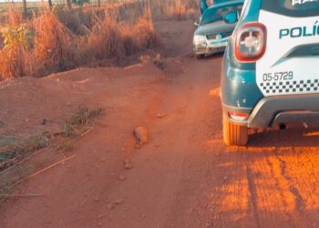 Suspeito com mandato de prisão e preso durante abordagem policial em Novo São Joaquim MT.