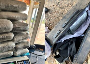 Passageira é presa com 12kg de maconha na BR-230