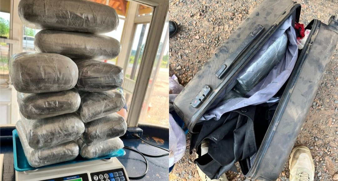 Passageira é presa com 12kg de maconha na BR-230