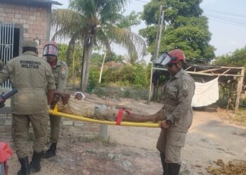 Cavadeira cai sobre trabalhador no ramal Jacarezinho, em Itaituba
