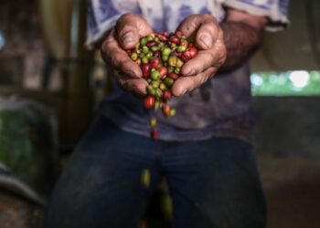 Prefeituras de MT têm até 31 de dezembro para aderir a sistema da Seaf