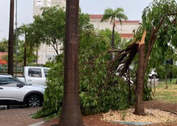 Chuva forte causa alagamentos e derruba árvores em Cuiabá