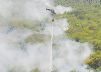 Amazonas começa a usar helicópteros no combate aos incêndios florestais agravados pela estiagem severa | Jornal Nacional