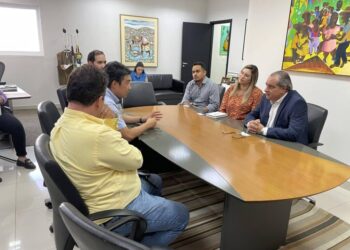 Grupo chinês avalia instalação de indústria de pneus para veículos pesados em MT