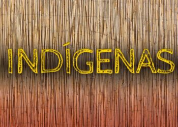 Justiça acolhe pedido do MPF e determina retorno imediato de transporte aéreo para atendimento à saúde de indígenas no PA