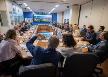 “Não há projeto de inclusão e crescimento sem pesquisa e desenvolvimento”, defende ministra