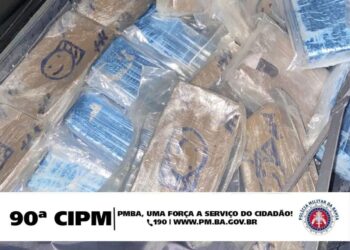 Polícia localiza veículo com corpo de homem e 21 quilos de droga às margens da BR-324 na Bahia | Bahia