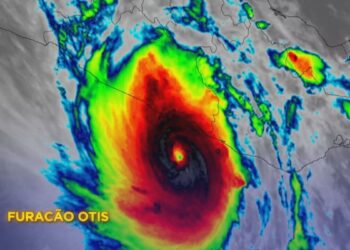 Jane Goodall faz sua primeira imersão na Amazônia: ‘Fiquei profundamente chocada’ | Fantástico