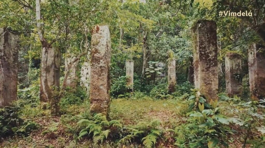 'Vim de lá': Marambaia guarda ruínas de senzala e tradições