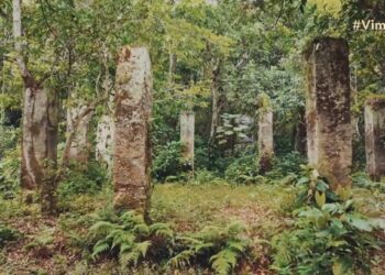 'Vim de lá': Marambaia guarda ruínas de senzala e tradições quilombolas