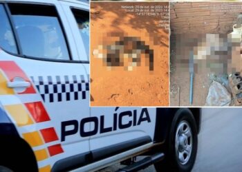 Homem é preso após torturar e matar animais domésticos em Tangará da Serra