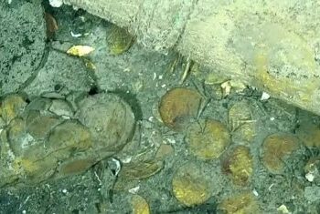 Tesouros no fundo do mar guardam fortuna de bilhões