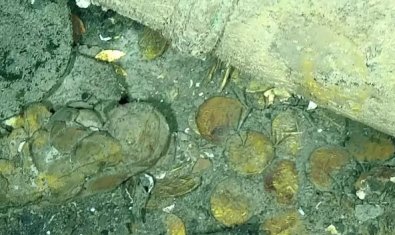 Tesouros no fundo do mar guardam fortuna de bilhões