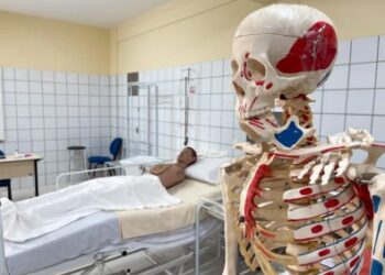 Seciteci e Seduc firmam parceria para ofertar cursos tcnicos