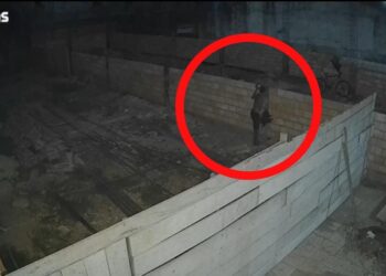 Vídeo: Elemento furta ferro, cimento e uma galinha em Itaituba, no PA