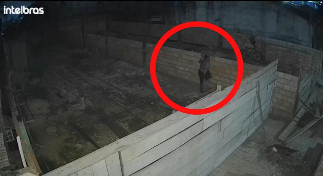 Vídeo: Elemento furta ferro, cimento e uma galinha em Itaituba,
