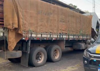 PRF apreende madeira em transporte irregular na BR-163, em Santarém