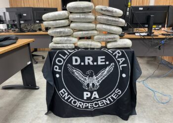 PF apreende 17kg de maconha em Belém