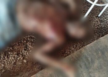 Homem é encontrado morto em fazenda no município de Itaituba, no PA