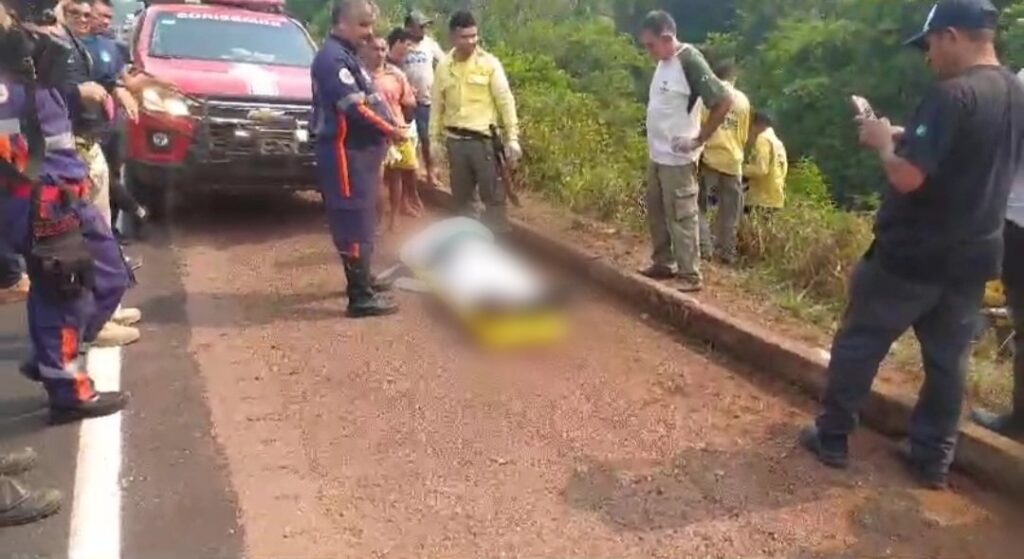 Agente do ICMBio morre após capotar veículo na BR-163