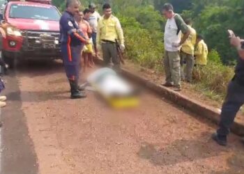 Agente do ICMBio morre após capotar veículo na BR-163