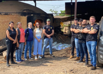 Polícia Civil incinera 60 quilos de entorpecentes em Confresa.