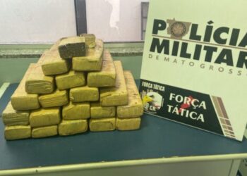 Força Tática prende mulher por tráfico de drogas e apreende 19 tabletes de maconha em Sinop