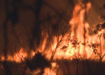 Apesar do calor, DF registra o menor número de incêndios florestais dos últimos 8 anos