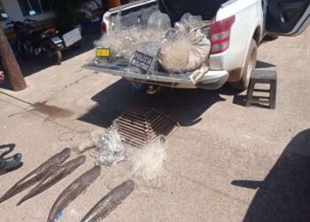 Sema aplica R$ 10 de multas e apreende pescado em 3 cidades