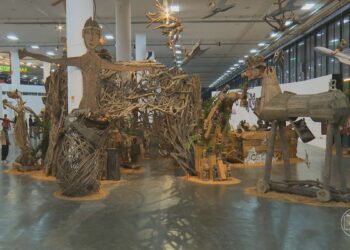 Bienal ficará fechada neste sábado após estragos da chuva interditarem Parque Ibirapuera | São Paulo