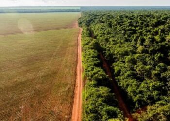 Pará tem quase 7 mi hectares para resolver a questão fundiária e ambiental