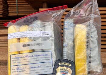 Polícia Civil incinera cerca de 40 quilos de droga em Aripuanã