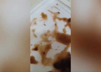 Vídeos expõem comida servida com larvas em hospital público que atende crianças com câncer no Pará