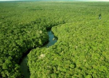 Justia manda expulsar posseiros de fazenda de 9 mil hectares em MT