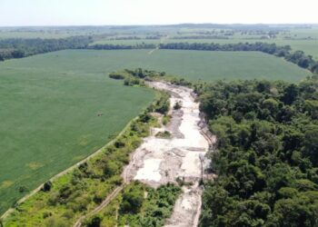 Sema fecha seis garimpos ilegais em MT