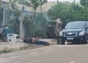 Duas pessoas são atacadas por enxame de abelhas em Sinop