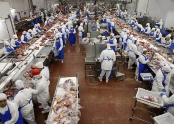 Justia manda frigorfico prestar contas de pagamento de dvidas em MT