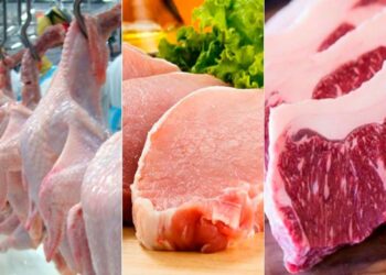 Desempenho do mercado de carnes vivas em novembro e nos 11 primeiros meses de 2023